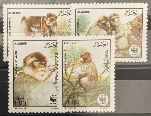 Algeria 1988 972 975 nuovo - algeria,