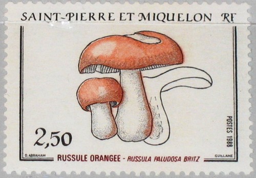 Pierre miquelon spm 1988 - st.,