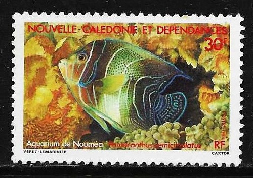 Nuova caledonia 1988 acquario - caledonia,