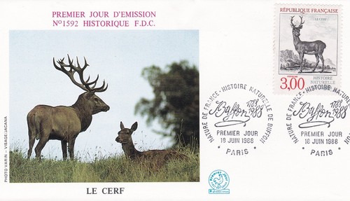 Francia 1988 fdc - francia, di