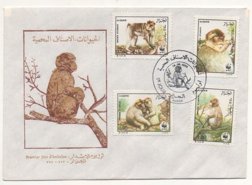 Fdc busta giorno - busta, algeria